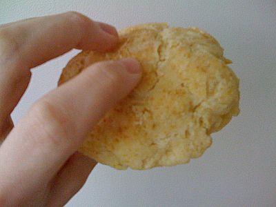 biscuit